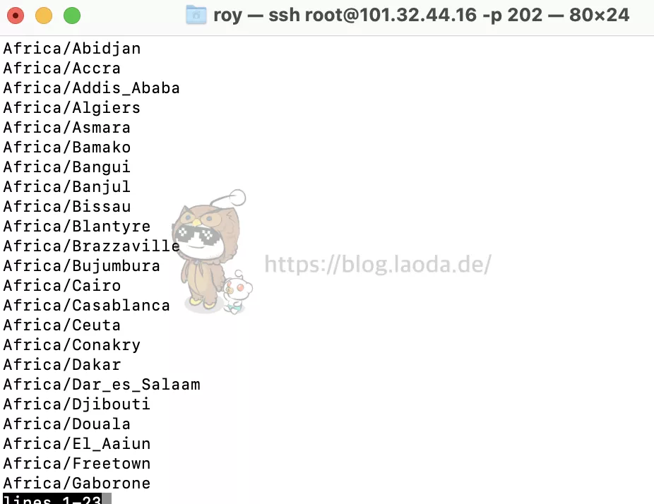 【Docker系列】不用宝塔面板,小白一样可以玩转VPS服务器!