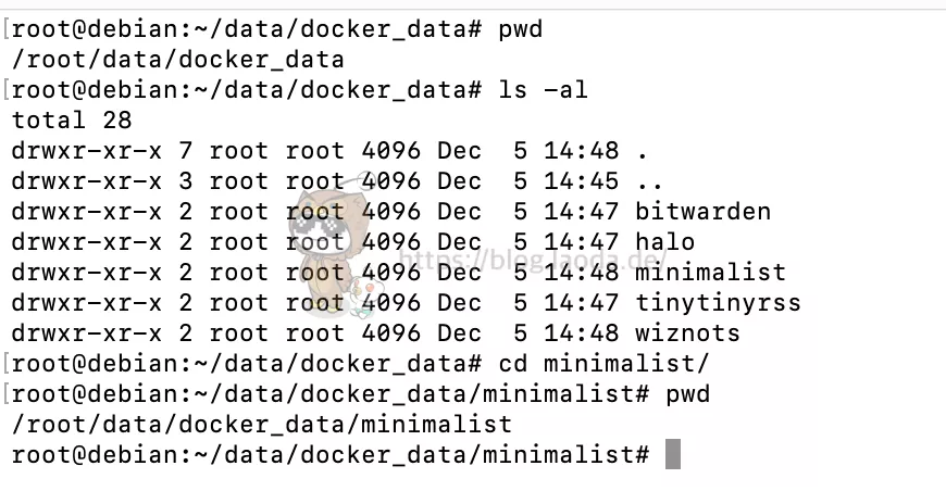 【Docker系列】不用宝塔面板,小白一样可以玩转VPS服务器!