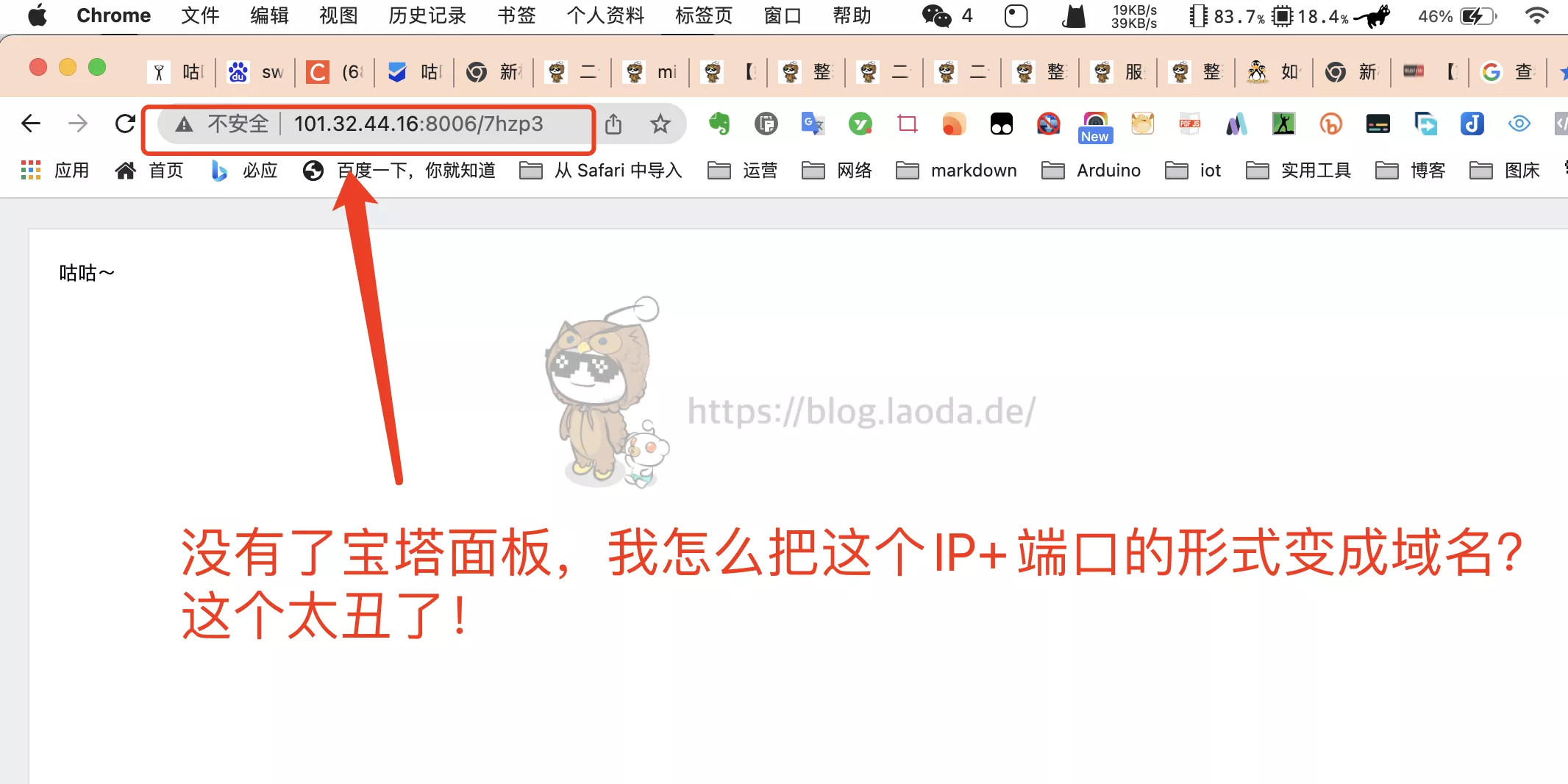 【Docker系列】不用宝塔面板,小白一样可以玩转VPS服务器!