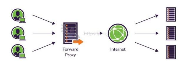 【Docker系列】一个反向代理神器——Nginx Proxy Manager