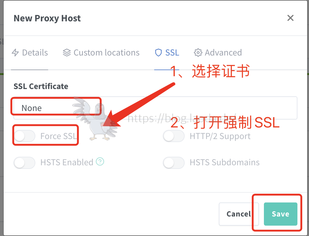 【好玩的Docker项目】搭建一个小而美的网站流量监控——Umami