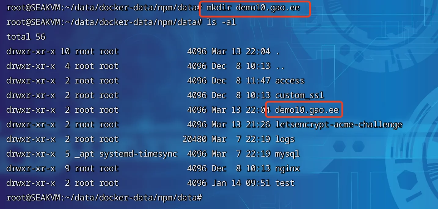 如何在Nginx Proxy Manager(NPM)上部署静态网站