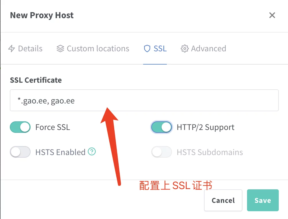 如何在Nginx Proxy Manager(NPM)上部署静态网站