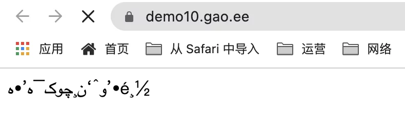 如何在Nginx Proxy Manager(NPM)上部署静态网站