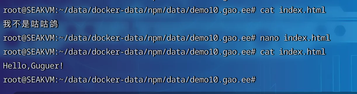 如何在Nginx Proxy Manager(NPM)上部署静态网站