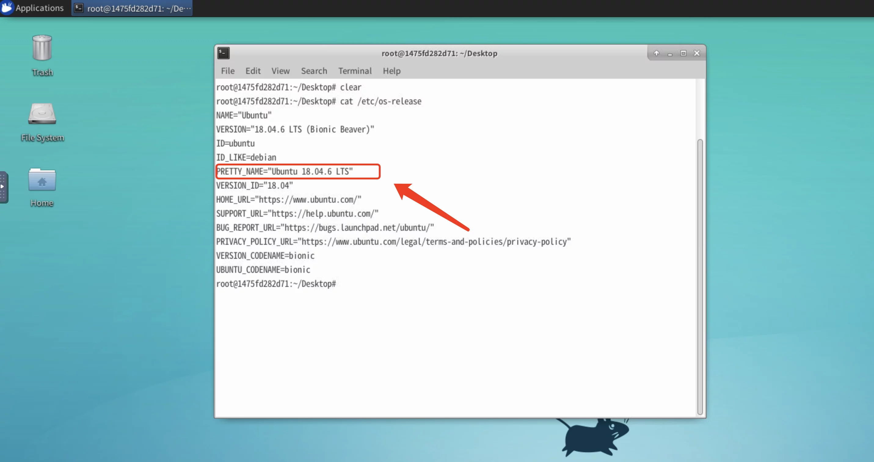 【好玩的Docker项目】搭建一个Ubuntu的桌面系统(带VNC/noVNC)随时随地可以通过浏览器访问!