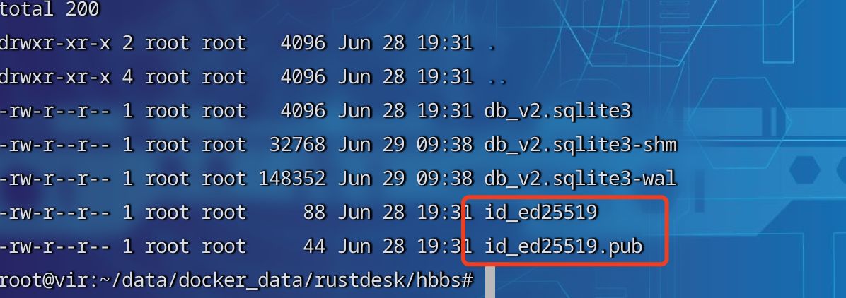 【好玩儿的Docker项目】开箱即用!TeamViewer、向日葵的替代品,20分钟自建一个开源远程桌面服务——RustDesk