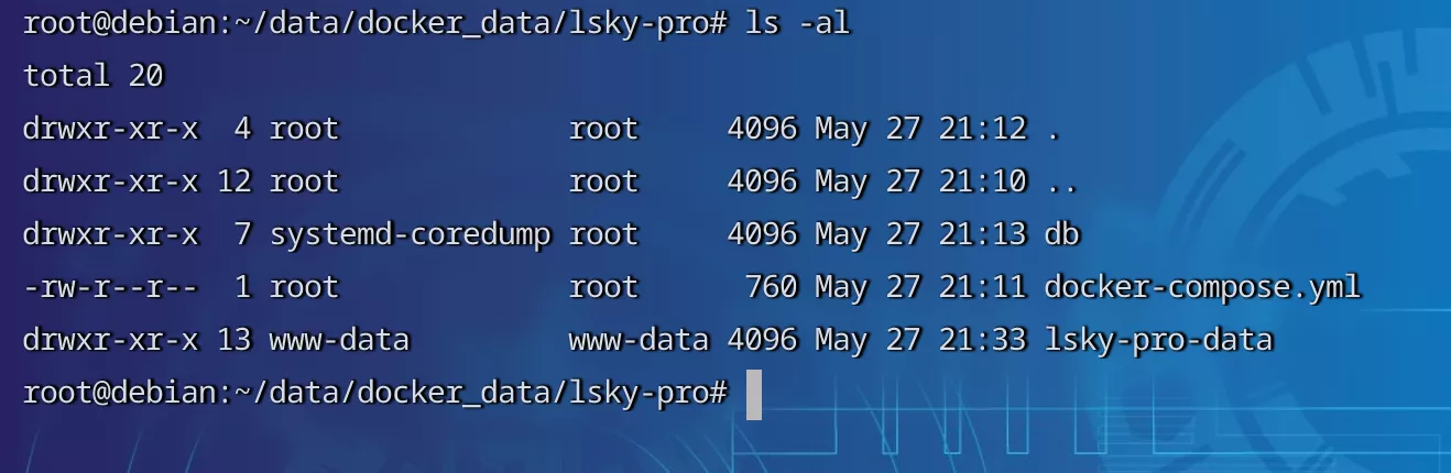 【好玩儿的Docker项目】10分钟搭建一个功能更强大的图床——Lsky Pro