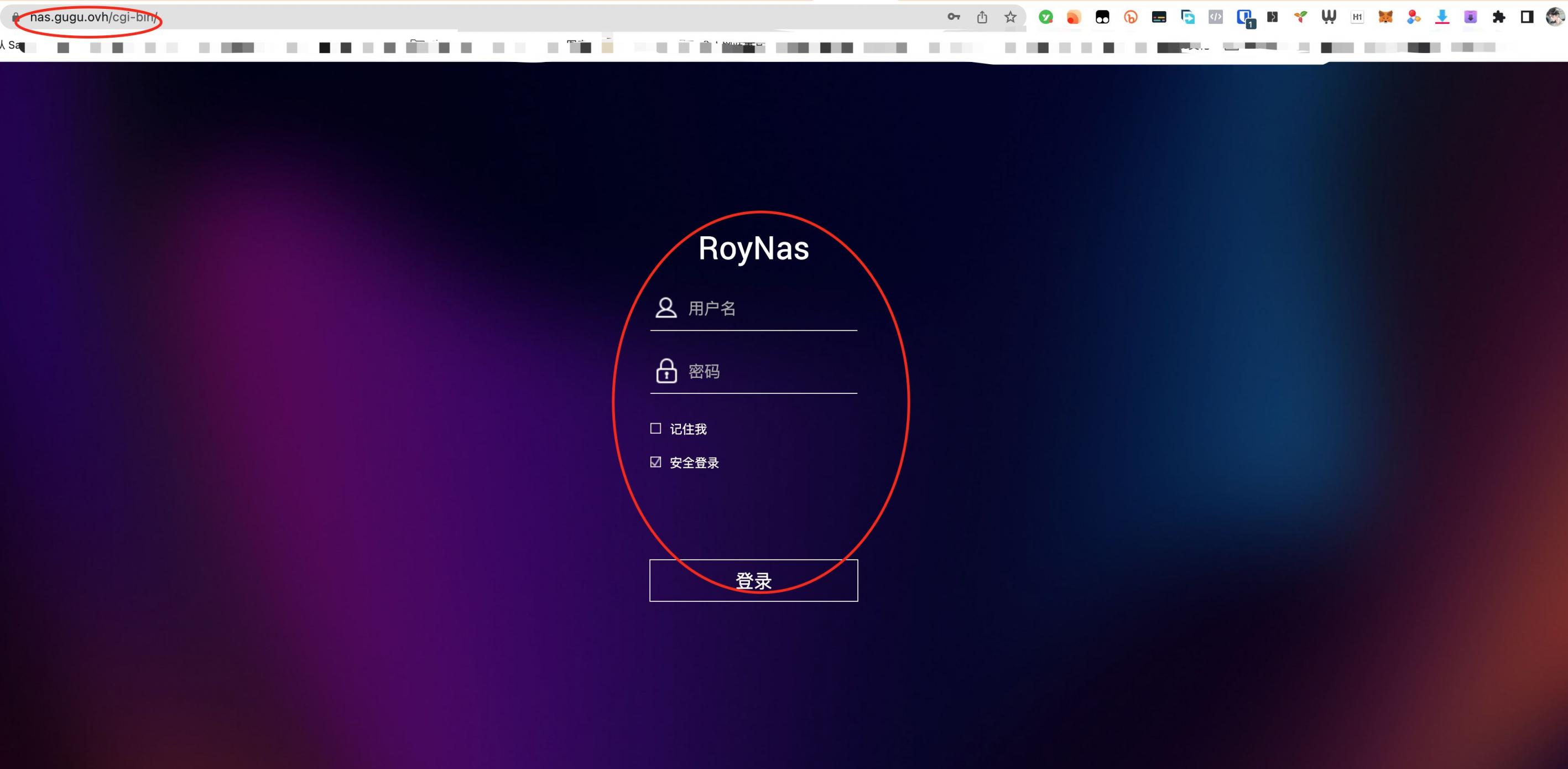 【好玩儿的Docker项目】家里没有公网IP?FRP+NPM+VPS = 随时随地用域名访问家里的任何设备!内网穿透,从未如此简单!