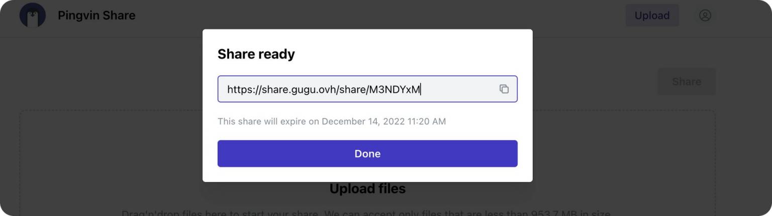 【好玩儿的Docker项目】Pingvin Share——一个专注于文件分享的高颜值轻量小工具!