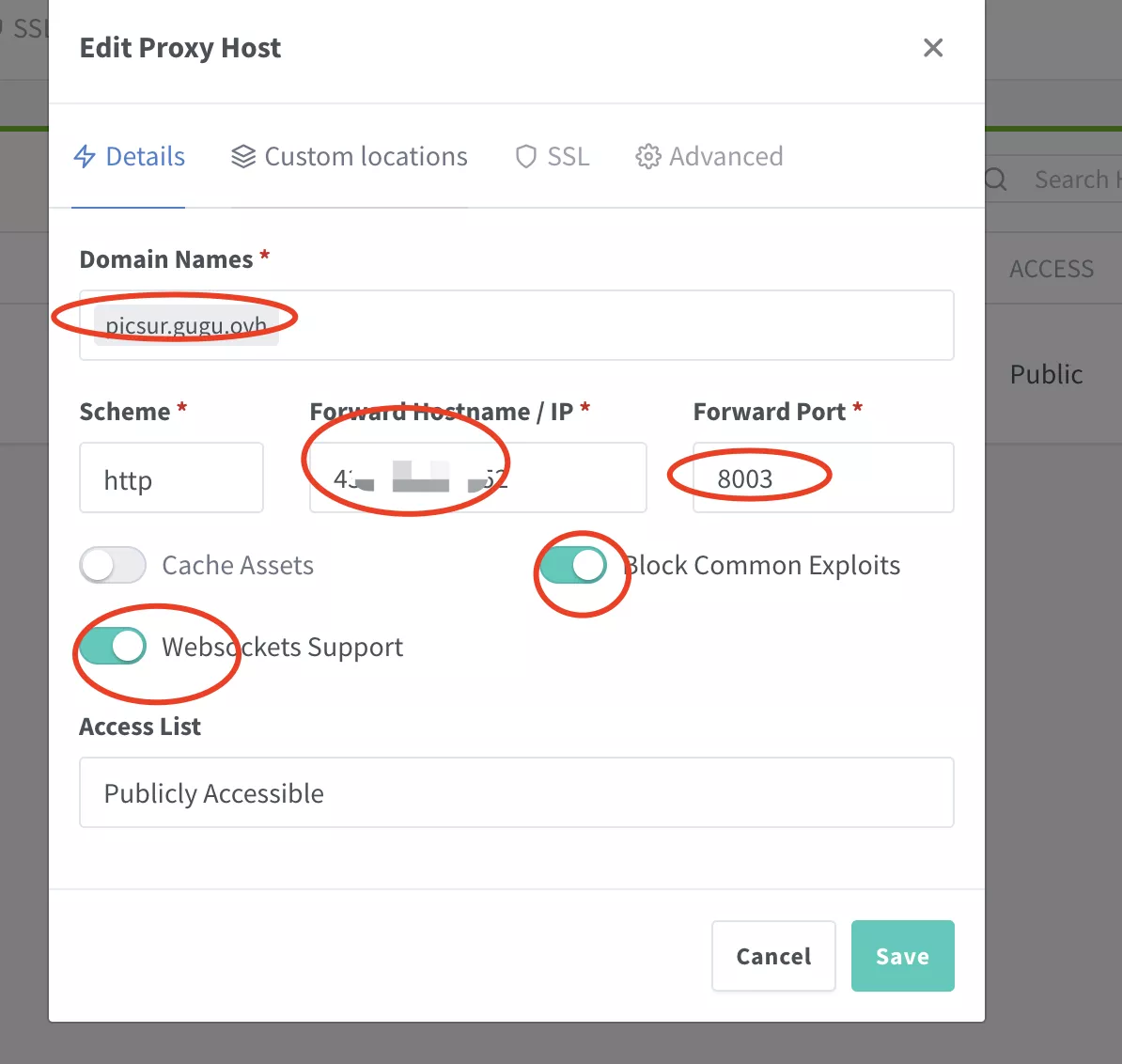 【好玩儿的Docker项目】10分钟搭建一个内置图片转换功能的图床——Picsur